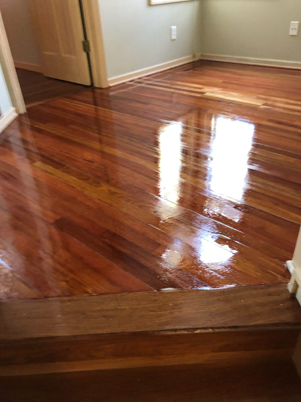 Rich dark stain hardwood with high-gloss polyurethane finish