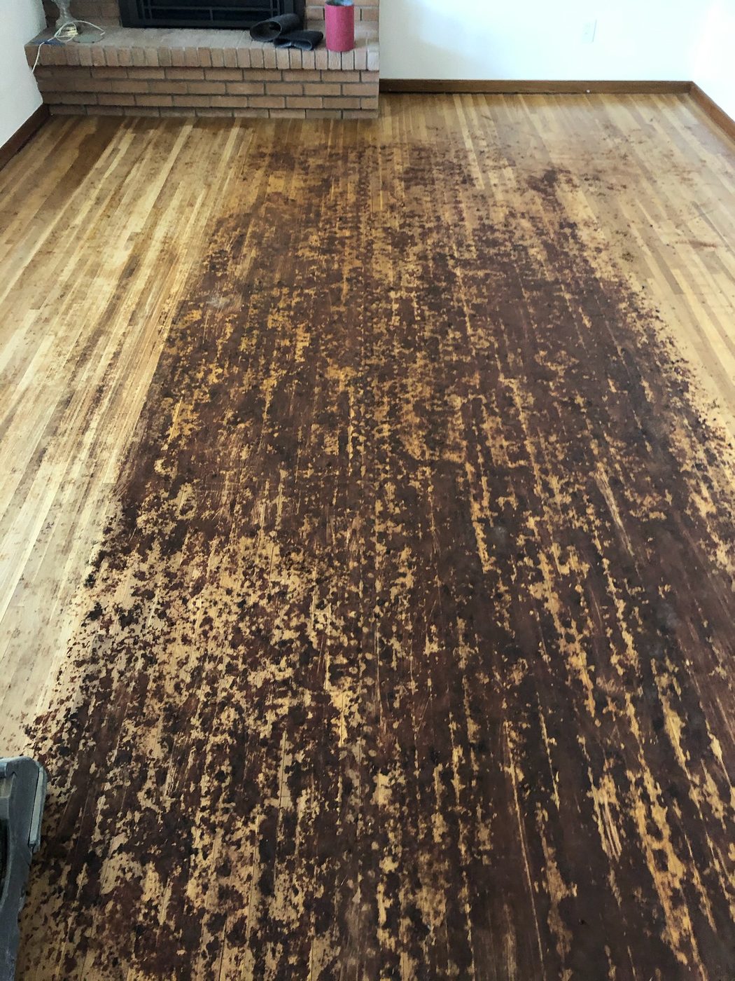 Before: heavily soiled and water-damaged hardwood floor
